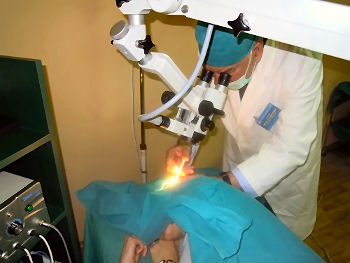 &Scaron;um u uhu i lečenje, Dr. Vukoje, Novi Sad, Srbija